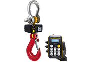 Wireless Crane Scale